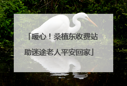 暖心！桑植东收费站助迷途老人平安回家